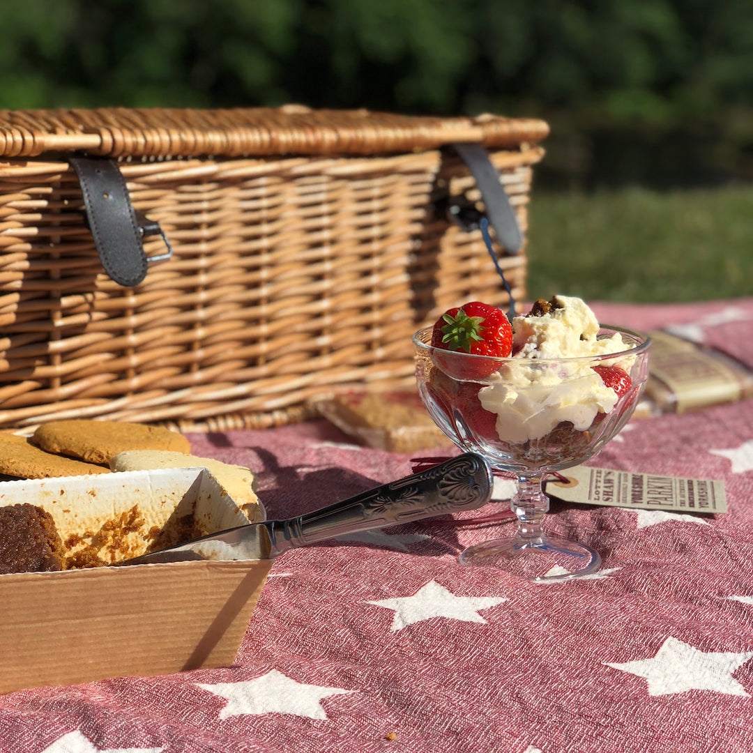 Star Fleece Lined Throw